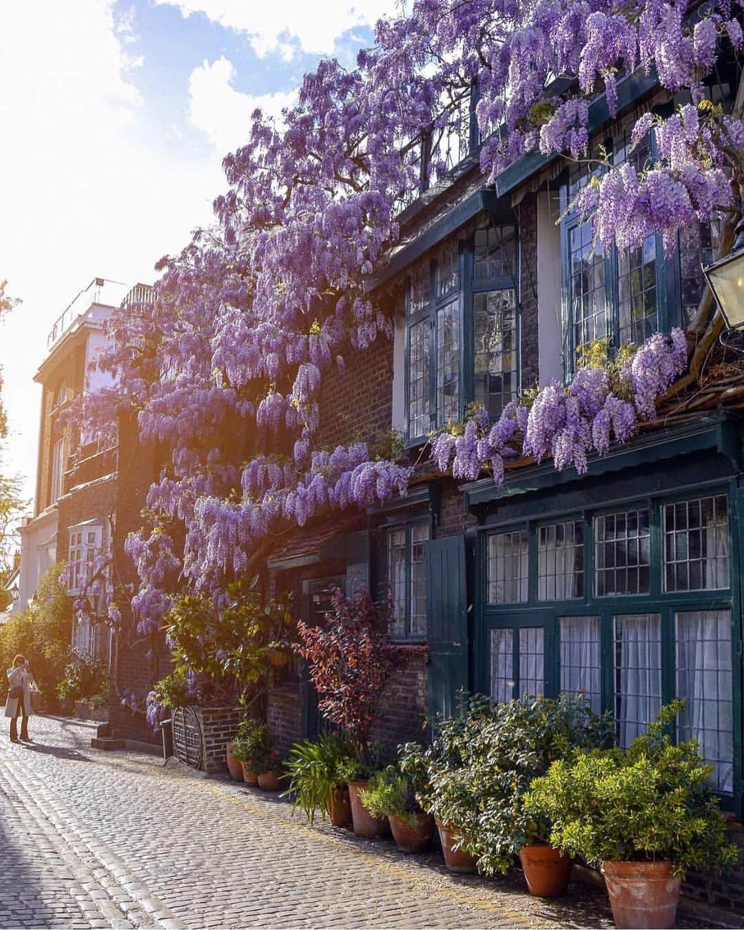 @LONDON | TAG #THISISLONDONさんのインスタグラム写真 - (@LONDON | TAG #THISISLONDONInstagram)「When #London gets #WisteriaHysteria there is a window of just a couple of weeks to capture the magic. @shotsdr caught this mews which might be one of the best from the thousands we’ve seen over the last month! Enjoy! 😍 // #thisislondon #kensington & #chelsea #wisteria」5月16日 19時28分 - london
