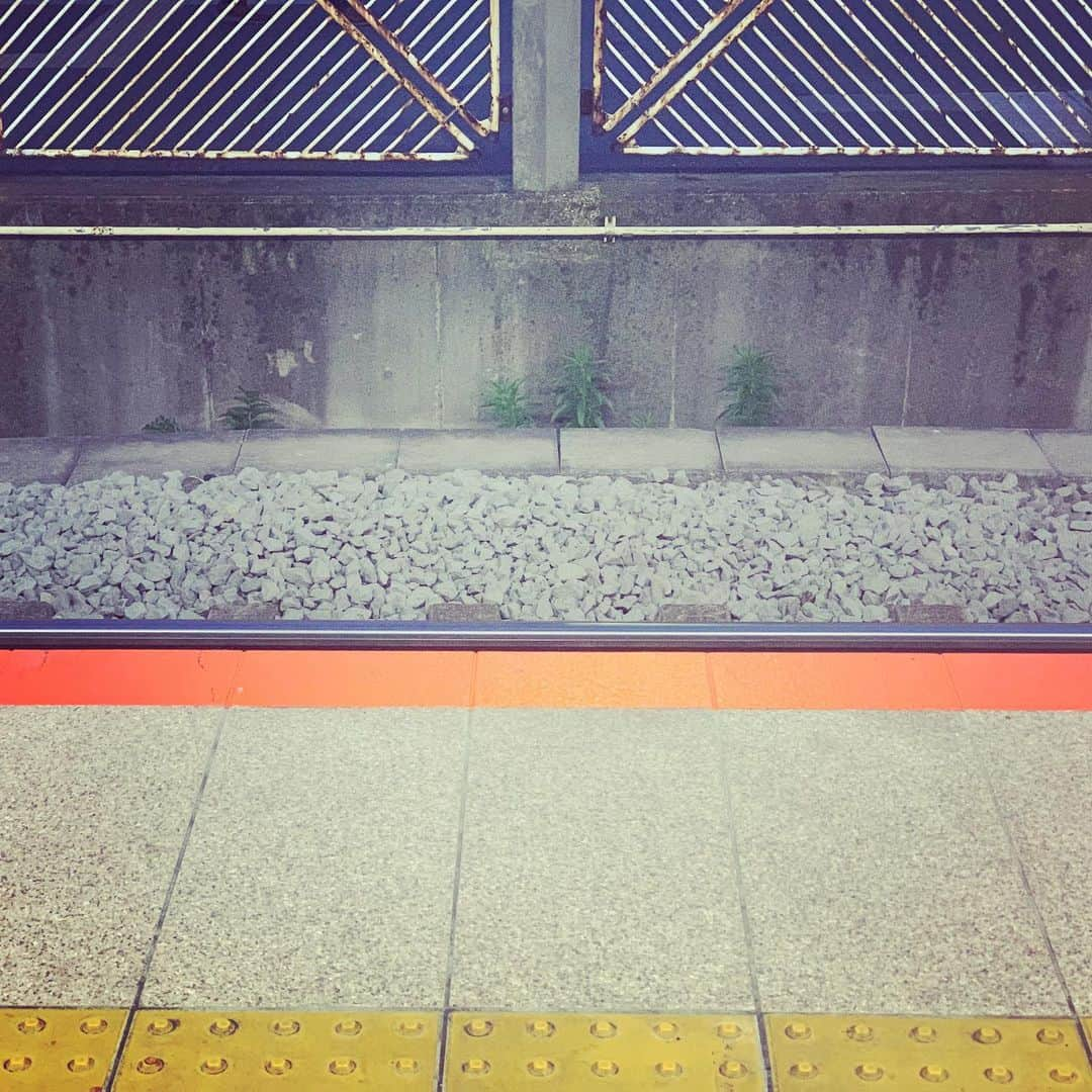 クリス智子さんのインスタグラム写真 - (クリス智子Instagram)「電車の乗り換え待ち、石好きな私としては、線路の石を見ているのが好きです。（地味な趣味..笑）  なぜ時代も変わっても、こんなに石なんだろ...地下鉄はないよなぁ..など、ぼんやり疑問だったのですが、検索してみたら（わりと、ダイレクトに小学生みたいな質問を電話するんですが、忙しそうな時間だったので）  硬そうな石が、電車の重みに歪み、衝撃を受けて緩衝するためなんですね。  石がもっとベージュ色だったら、あたたかいのになぁ、線路に寄せるなら、黒石もいいのになぁ、などと思っていたのですが、やはり理由がー。  石と言っても、硬くて靭性に富んだ石= 花崗岩、けい岩、安山岩が合うとか。  ホーム際のオレンジ蛍光色も増えましたね。 心理的に色彩で注意喚起。 眩しい夕陽の色にちょっとにている。  色が、はたらきますように。  #stone」5月16日 19時38分 - chris_tomoko