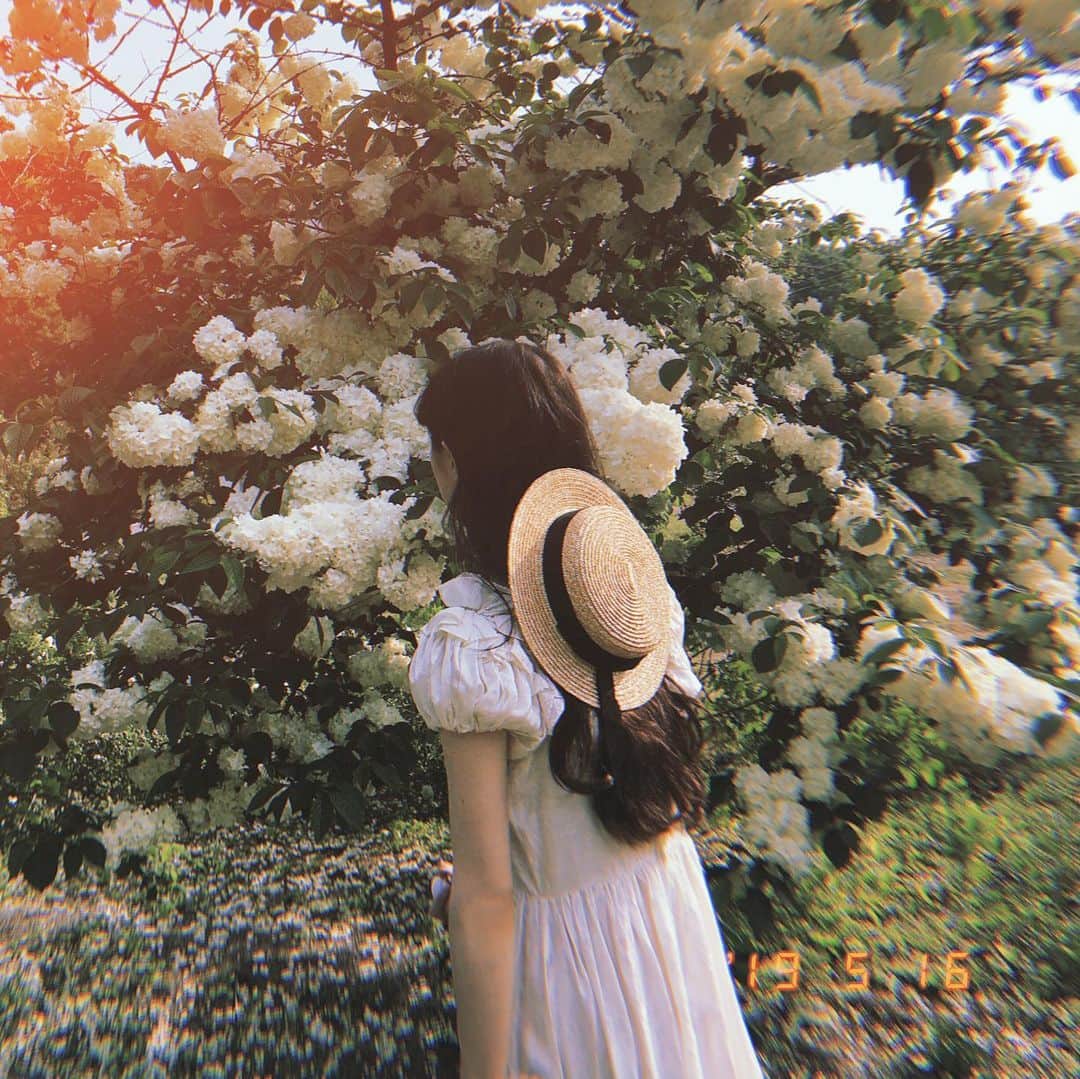 酒元麻衣（まいへー）さんのインスタグラム写真 - (酒元麻衣（まいへー）Instagram)「今日のおもひで。 アリサカメラ📷  #花フェスタ記念公園 #薔薇#薔薇園#これは薔薇じゃないの#また載せるね」5月16日 19時40分 - maihee