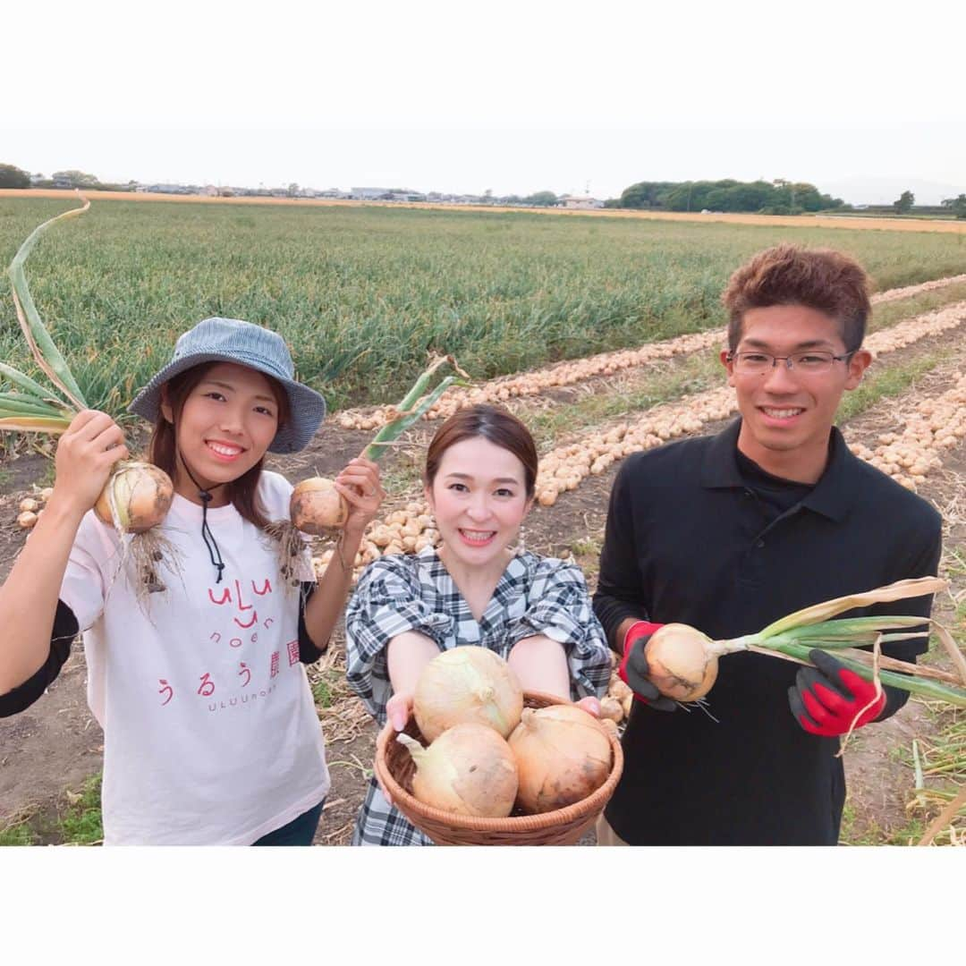 小野口奈々さんのインスタグラム写真 - (小野口奈々Instagram)「・ 今日の中継は、筑後市の「うるう農園」で 今が旬！新タマネギの収穫体験✨✨ 大きくて、甘くて、美味しかったです😍 25歳の爽やかな古賀さんご夫婦が営まれていて 就農のきっかけや、 今後の計画などのお話を聞いていると お二人の農業への熱意に 本当に清々しい気持ちになりなした‼️ なんと偶然、「ごちそうマエストロ」も うるう農園でロケ😆 ナレーションするのが楽しみです💕 #ごちマエは26日放送予定 #うるう農園 #新タマネギ #新玉ねぎ #イチゴも栽培しています #ふくサテ #中継 #テレQ」5月16日 19時59分 - nana0no