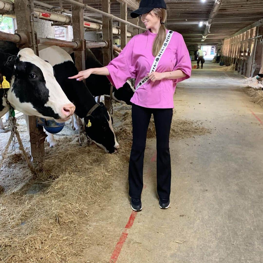 渡部いずみのグルメインスタ