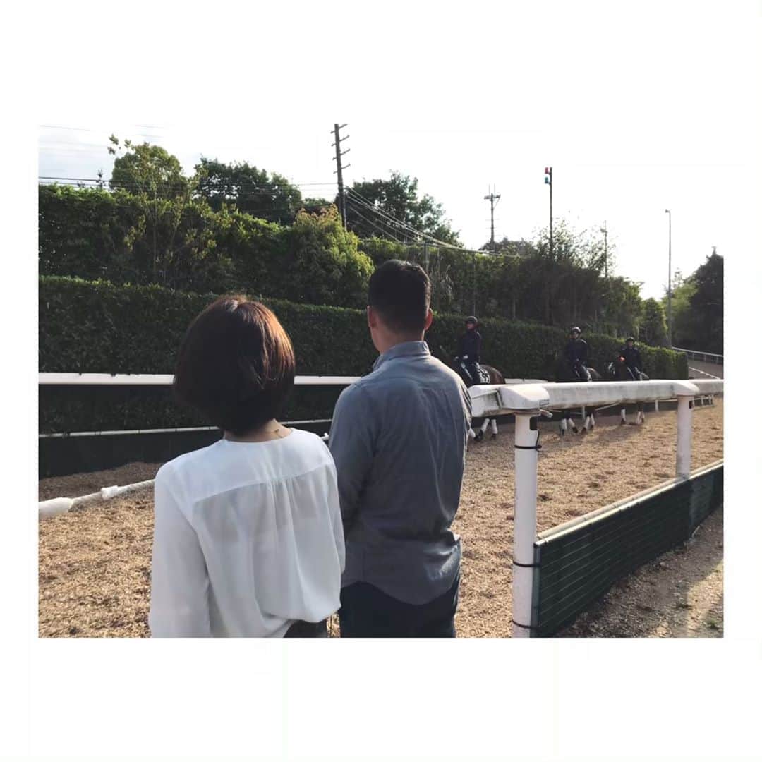 上村彩子さんのインスタグラム写真 - (上村彩子Instagram)「. . 滋賀県の栗東へ、 初めて競馬のトレーニングセンターの 取材に松田丈志さんといってきました！🐴 . . 馬は暑さに弱いため、今の時期でも 朝6時ごろからトレーニングが はじまります☀️ 京都のホテル出発が4時くらいで 眠い目をこすりながら向かいましたが、 見るものすべてが新鮮で大興奮！ . . 広大な敷地に、厩舎が100並んでいて、 そこにはおよそ2000頭の馬がいて、 馬のための病院あり、 プールあり、歯医者さんあり！！ まさに馬のためのひとつの街が できあがっているんです👀 . . 歩道ならぬ『馬道』には 見渡すと馬がパカパカ歩いていて、 ここは本当に日本？？と、 不思議な感覚になりました！ . . なにより、 引き締まっている馬の身体、 大迫力の走る姿、かっこいい…🐎✨✨ S☆1、今週もごらんくださいね！ @tbstvs1 . . #JRA#栗東トレーニングセンター#競馬 #練習用ゲートにいれさせてもらいました #オークス#日本ダービー . . そういえば、先週髪の毛きりました！ さっぱり！ありがとうございます✂️ @yamaguchimasahiro」5月16日 20時05分 - saekokamimura