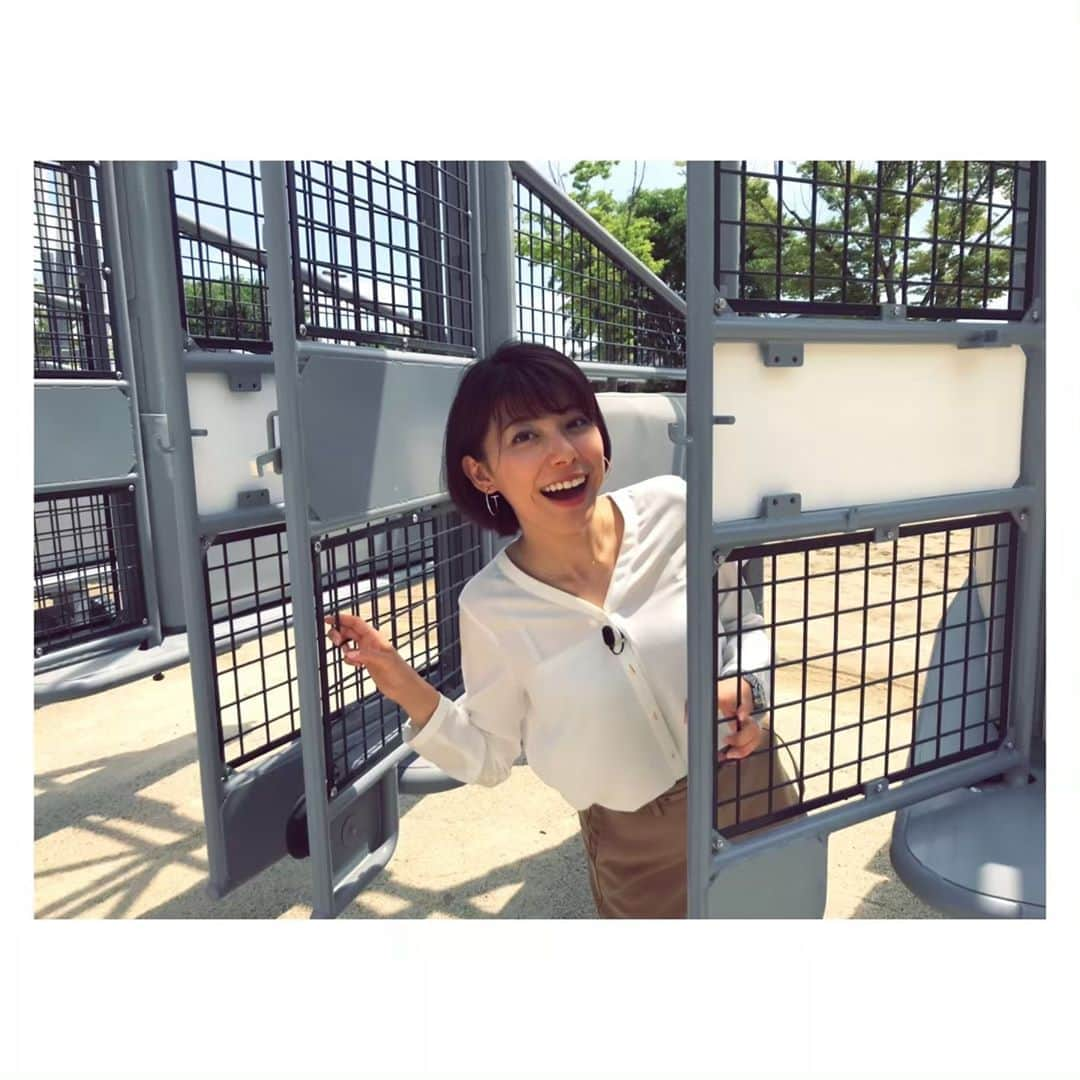 上村彩子のインスタグラム