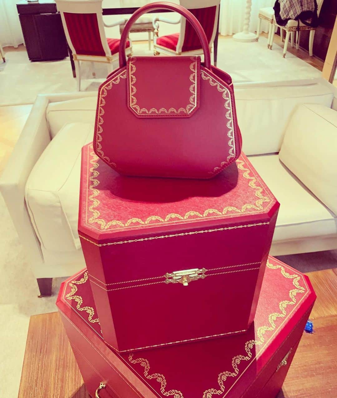 アンナ・デッロ・ルッソさんのインスタグラム写真 - (アンナ・デッロ・ルッソInstagram)「A nice gift from @cartier 🎁 the new #guirlandedecartier bag inspired by the iconic red box decorated with gold 🌟⭐️✨ thank You 🙏❣️」5月16日 20時14分 - annadellorusso