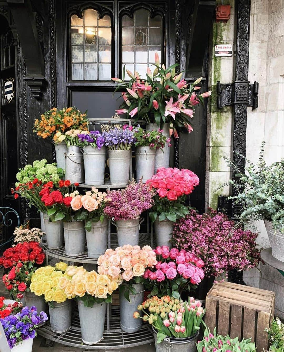 キャサリン・ゼタ・ジョーンズさんのインスタグラム写真 - (キャサリン・ゼタ・ジョーンズInstagram)「One of my favorite parts of London is all the flowers this time of year 💐 Gorgeous display (📷 @meanderingmacaron)」5月17日 2時05分 - catherinezetajones