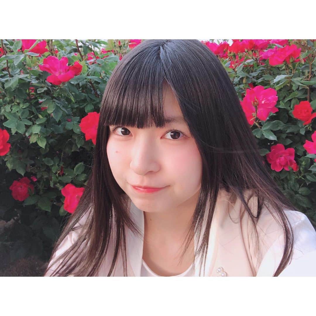 三村妃乃さんのインスタグラム写真 - (三村妃乃Instagram)「♡ 薔薇の、優雅で気品溢れる美しさが好きです🌹💫 ♡ #ngt48 #三村妃乃 #バラ #rose」5月16日 21時52分 - hino_yuiitsu62