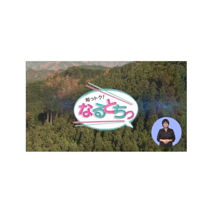川口智美のインスタグラム：「懐かしいものが 珍しく #youtube  に🙌笑 2017年度の #とちぎテレビ 知っトク！なるとちっ。  一昨年なのになんだか、若いなw 前髪のせいかな🙊🍓🍓 #栃木 #広報番組 #とちテレ #4年目 #MC #とちぎ未来大使 になりたい #tochigi」