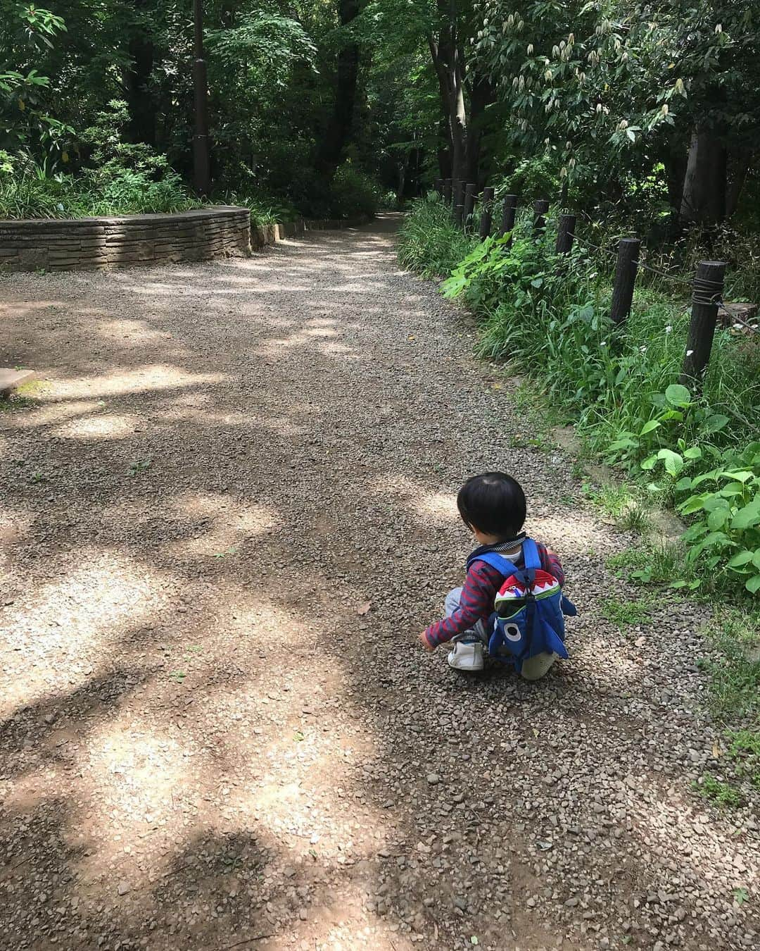 氷浦紫さんのインスタグラム写真 - (氷浦紫Instagram)「初！ちょうちょの存在を知り、#ちょうちょを追いかける  最近小走りになってきて、顔面から転けるので唇にも砂がつき、今日は2回も派手にコケておでこ擦りむけ、手のひらを切ってしまった……あるあるなのかなぁ  3枚目は、２、３枚でやめるだろうと思っていたら40枚以上も#お尻拭きシート を出してドヤ顔で空を持ってきてびっくり。  毎日#ネタをありがとう  #1歳3ヶ月#1y3m #公園#ケガが絶えない#やんちゃ#男の子モデル#イアラ#イアラモデルエージェンシー #iara#iaramodelagency」5月16日 22時13分 - yukalihiula