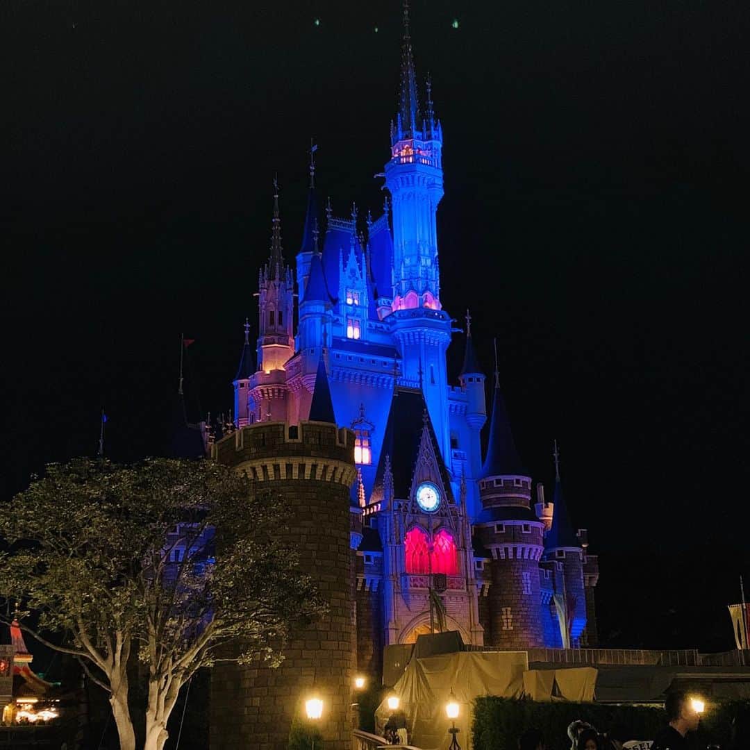 日岡なつみのインスタグラム：「シンデレラ城🏰」