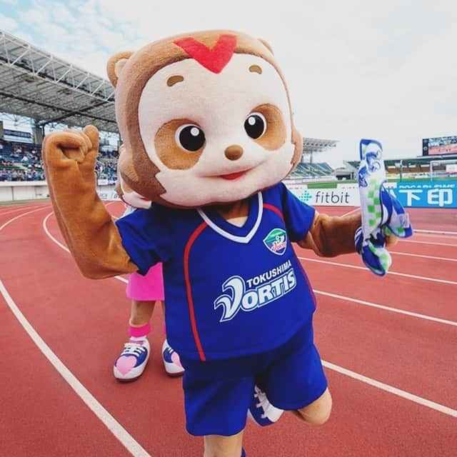 徳島ヴォルティスさんのインスタグラム写真 - (徳島ヴォルティスInstagram)「【2019 VORTISイケメン選手権】 5月19日(日)モンテディオ山形戦・ヴォニータデーに向けて「ヴォルティスイケメン選手権」を開催中！ 現在、予選ラウンドを勝ち抜いた4選手とヴォルタくんが決勝ラウンドを戦っています。 投票は徳島ヴォルティスHPの特設サイトよりおこなえます。 投票された方には豪華プレゼントが当たるかも！  詳細は徳島ヴォルティスHPの特設サイトより（https://vortis.jp/game/ikemen.html）  #杉本竜士 #岩尾憲 #河田篤秀 #藤田征也 #ヴォルタくん #徳島ヴォルティス　#vortis #Jリーグ #イケメン」5月16日 22時56分 - tokushima_vortis