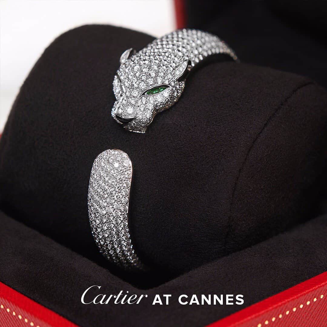 カルティエさんのインスタグラム写真 - (カルティエInstagram)「The epitome of wild Cartier femininity. #PanthèredeCartier takes over the red carpet at the Cannes Film Festival. #Cannes2019」5月16日 23時20分 - cartier
