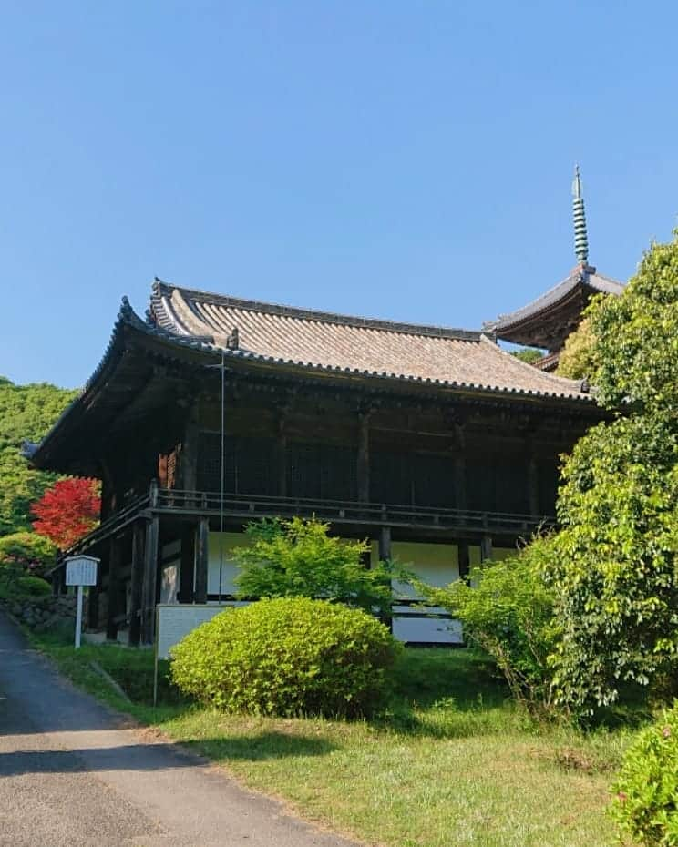 和田益典さんのインスタグラム写真 - (和田益典Instagram)「◆ 如意寺 「壱」 . (備忘録 兼 日記) . 2019/5/11  スマホ撮影 #わだます寺社巡り . . この日は神戸市西区櫨谷町 "谷口" にあるお寺へ。 . 御意(ｷﾞｮｲ)！ではなく . 如意(ﾆｮｲ)！ . . 如意 如意 如意 如意！ . . 嗚呼、また一つ欲球根性バンド版 call & responseのレパートリーが増えましたな。 . . で、この如意如意templeは、グリーンスタジアム神戸から程近い場所にあるんですが、 昨年の今頃この辺の塔巡りをした時にタイムアップで行けなかった場所なので、今回訪れてみることにした次第です。 . . まあまあ狭隘な道を進み、長閑な田園風景～少し山間に入ったとこで山門(仁王門)と相対する。 . とりあえず門は後程ということで… 更に進むと、僅かな駐車スペースと味のあるお堂が見えてくる。 . 懸造りの付いてる此のお堂は「文殊堂」といい、国指定重要文化財。 【１～６枚目】 . 進むと文殊堂の軒先から三重塔が出現。 . 雲一つ無い超快晴の西摂。 . 訪問した時間が夕刻だったので、三重塔は西陽を受けて絶好の撮影環境でした。(塔は別で載せます) . 逆に対面にある阿弥陀堂はスーパー逆光で、撮るのバリムズ！ 苦笑 【７～８枚目】 . 阿弥陀堂も国指定重要文化財です。 . . 本堂は老朽化で傾いたので戦後に撤去されたようで、土台と礎石が残るのみ。 . ストーリーにも上げましたが、文殊堂を石燈籠の火袋越しに撮ったり、翫玉院の山門をフレームにして塔を狙ったりして、撮り寺を存分に楽しみましたよ。 . 人が居ないので自由に撮れたのが良かった。 . かれこれ一時間は居ったかな。 . . 最後に仁王門。 【９～10枚目】 . ここの仁王さんは、塑像(まあ云うところの粘土)なのですが、剥離が激しく、本気で怖い顔だったので、撮ったけど載せません！苦笑 . . 着いた時点で既に夕刻だったので、今回はこのお寺のみで終了。 . 塔の写真は、また後日に別で載せようと思います。 . 元々この日は団に呼ばれてたので、試合後の皆と合流することに。 . . . #如意寺 #重文 #文殊堂 #阿弥陀堂 #仁王門 #門 #翫玉院 #お寺 #寺 #寺院 #仏閣 #重要文化財 #神戸 #新緑 #temple #西区 #櫨谷町 #谷口 #スマホ #建築物 #木造 #wood #green #gate #view #photo #smartphone #kobe #japan . . . 最近 "撮り寺" が再燃してきてるけど、此の手のインスタ上げる度にフォロワー微妙に減ってる気がするね。苦笑 . まぁ関係あらへんけど。笑 . 逆にバンドの動画上げたら微増する。笑 . うむ、ニーズは十分承知だが、あくまで個人で楽しむメインの公開写真集に位置付けてるので、あしからず～(>_<) .」5月17日 0時10分 - masunori_wada