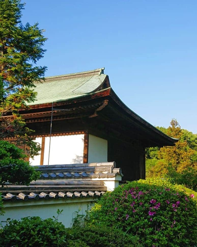 和田益典さんのインスタグラム写真 - (和田益典Instagram)「◆ 如意寺 「壱」 . (備忘録 兼 日記) . 2019/5/11  スマホ撮影 #わだます寺社巡り . . この日は神戸市西区櫨谷町 "谷口" にあるお寺へ。 . 御意(ｷﾞｮｲ)！ではなく . 如意(ﾆｮｲ)！ . . 如意 如意 如意 如意！ . . 嗚呼、また一つ欲球根性バンド版 call & responseのレパートリーが増えましたな。 . . で、この如意如意templeは、グリーンスタジアム神戸から程近い場所にあるんですが、 昨年の今頃この辺の塔巡りをした時にタイムアップで行けなかった場所なので、今回訪れてみることにした次第です。 . . まあまあ狭隘な道を進み、長閑な田園風景～少し山間に入ったとこで山門(仁王門)と相対する。 . とりあえず門は後程ということで… 更に進むと、僅かな駐車スペースと味のあるお堂が見えてくる。 . 懸造りの付いてる此のお堂は「文殊堂」といい、国指定重要文化財。 【１～６枚目】 . 進むと文殊堂の軒先から三重塔が出現。 . 雲一つ無い超快晴の西摂。 . 訪問した時間が夕刻だったので、三重塔は西陽を受けて絶好の撮影環境でした。(塔は別で載せます) . 逆に対面にある阿弥陀堂はスーパー逆光で、撮るのバリムズ！ 苦笑 【７～８枚目】 . 阿弥陀堂も国指定重要文化財です。 . . 本堂は老朽化で傾いたので戦後に撤去されたようで、土台と礎石が残るのみ。 . ストーリーにも上げましたが、文殊堂を石燈籠の火袋越しに撮ったり、翫玉院の山門をフレームにして塔を狙ったりして、撮り寺を存分に楽しみましたよ。 . 人が居ないので自由に撮れたのが良かった。 . かれこれ一時間は居ったかな。 . . 最後に仁王門。 【９～10枚目】 . ここの仁王さんは、塑像(まあ云うところの粘土)なのですが、剥離が激しく、本気で怖い顔だったので、撮ったけど載せません！苦笑 . . 着いた時点で既に夕刻だったので、今回はこのお寺のみで終了。 . 塔の写真は、また後日に別で載せようと思います。 . 元々この日は団に呼ばれてたので、試合後の皆と合流することに。 . . . #如意寺 #重文 #文殊堂 #阿弥陀堂 #仁王門 #門 #翫玉院 #お寺 #寺 #寺院 #仏閣 #重要文化財 #神戸 #新緑 #temple #西区 #櫨谷町 #谷口 #スマホ #建築物 #木造 #wood #green #gate #view #photo #smartphone #kobe #japan . . . 最近 "撮り寺" が再燃してきてるけど、此の手のインスタ上げる度にフォロワー微妙に減ってる気がするね。苦笑 . まぁ関係あらへんけど。笑 . 逆にバンドの動画上げたら微増する。笑 . うむ、ニーズは十分承知だが、あくまで個人で楽しむメインの公開写真集に位置付けてるので、あしからず～(>_<) .」5月17日 0時10分 - masunori_wada