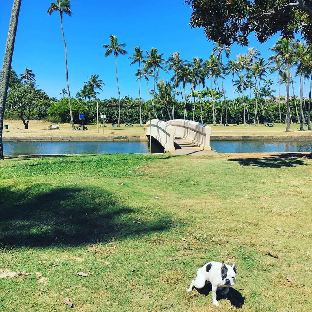 工藤まやさんのインスタグラム写真 - (工藤まやInstagram)「夏来たかも🔥 #summer#aloha#paradise」5月17日 11時13分 - mayahawaii325