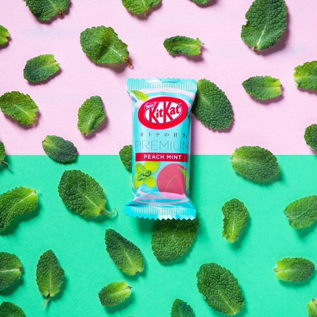 KITKAT Chocolatoryさんのインスタグラム写真 - (KITKAT ChocolatoryInstagram)「✨“KitKat Premium MINT”&”KitKat Premium PEACH MINT”✨﻿ ﻿﻿ #キットカット から、”キットカット ミニ オトナの甘さ プレミアムミント”と”キットカット ミニ オトナの甘さ プレミアム ピーチミント”が発売。﻿﻿ あなたはどっち派？🤔﻿ ﻿﻿ #キットカット#ミント#チョコミント#ミントチョコレート#ピーチミント#チョコレート#チョコ#ミント味#kitkat#haveabreak#chocolate#sweets#mothers_day#킷캣#奇巧巧克力」5月17日 9時44分 - kitkat_japan_official