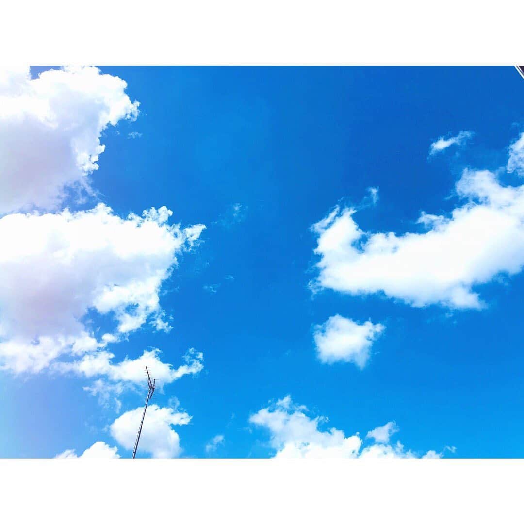 のインスタグラム：「気持ちいいー もうすっかり夏の雲。  でも暑過ぎずちょっと涼しさもある今の気候いいね🐾  #いい一日になりますように☺︎ #todayssky #blue」