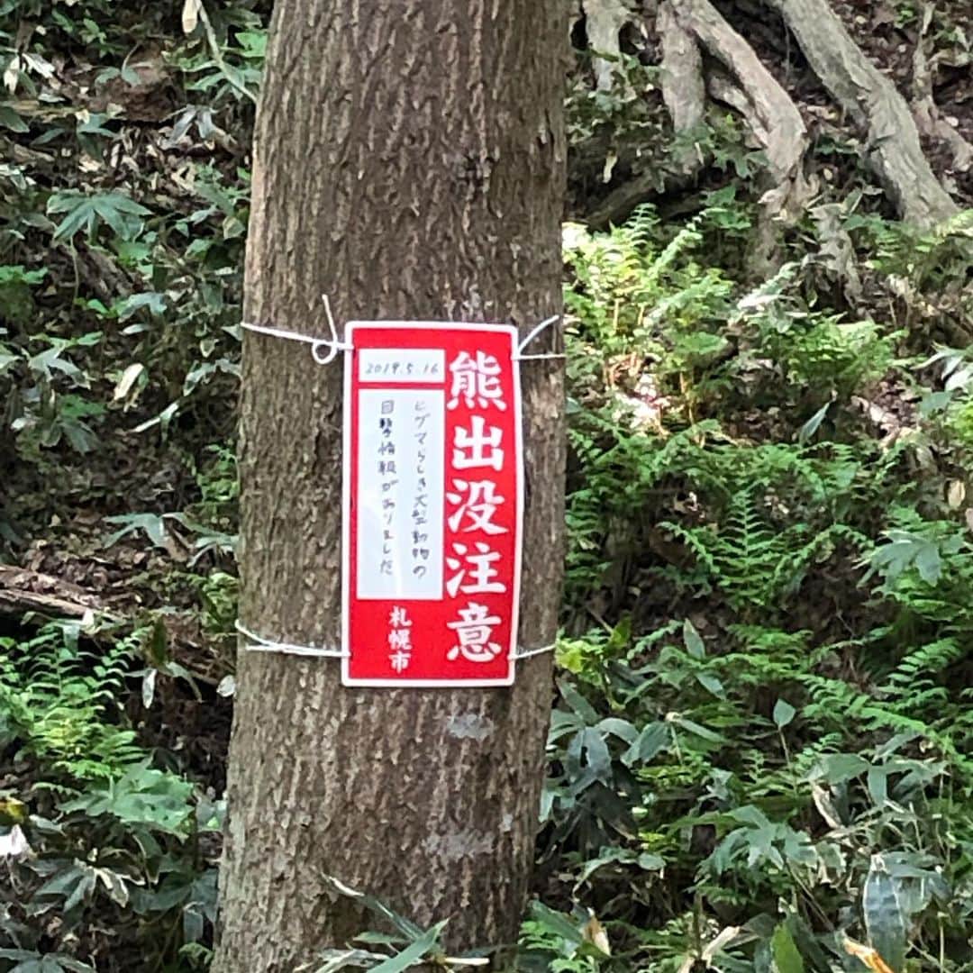のインスタグラム：「昨日、円山公園の木道付近に熊出没🐻札幌中心部から3キロ程離れた高級住宅街の市民の憩いの場に現れたということでニュースになりました📺  ここは四季が感じられる僕の大好きなランニングコース。 心配で今朝走ってきたら、木道の真ん中あたりにある橋付近に注意の看板が出ていました。  普段はリスに会ったりできる貴重な場所🐿今朝は蛇もいました💦 あらためて動物達の住処にお邪魔してる事を考えながら自然の中に入りたいものです。  今朝も多くの方が鈴をつけて山に入ったりしていましたよ。  #熊 #クマ #円山公園 #クマ出没 #みんテレ #uhb」