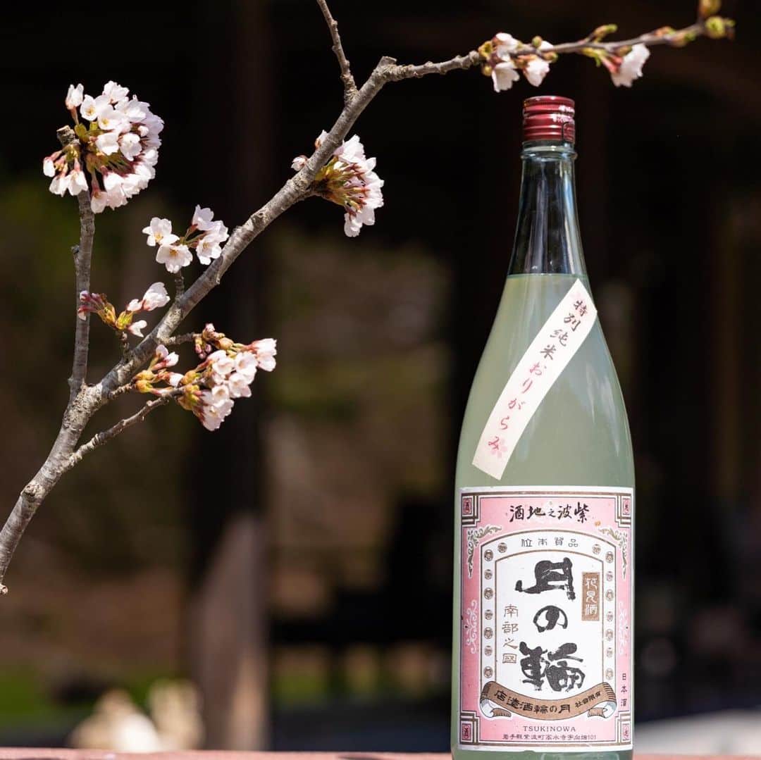 山人のグルメインスタ