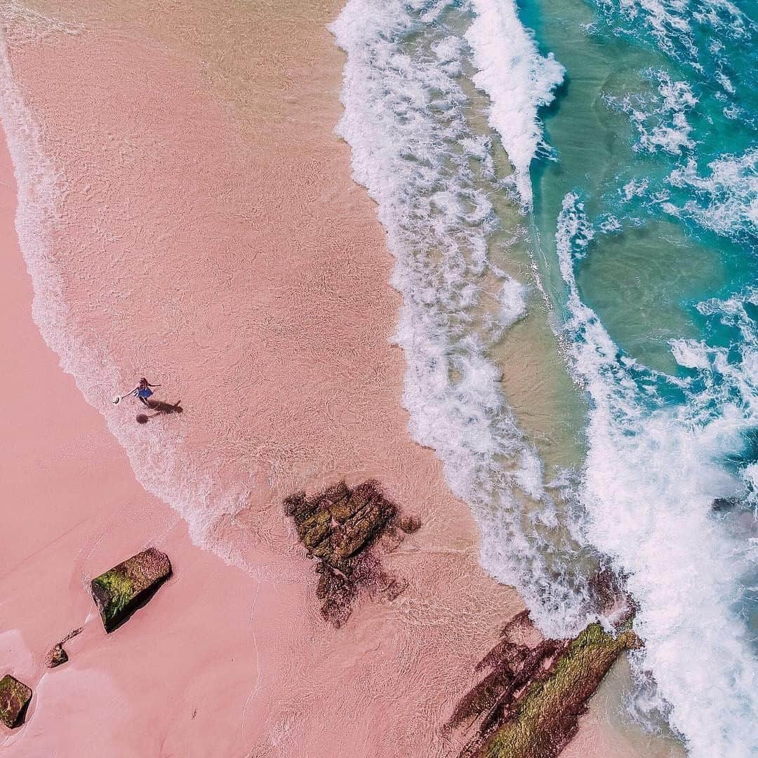 Kapten & Sonさんのインスタグラム写真 - (Kapten & SonInstagram)「'Finding paradise wherever you go.' 🌊 @jayde_archives found a beautiful pink beach in Australia! 💕 #bekapten #kaptenandson⠀ .⠀ .⠀ .⠀ #traveladdicted #travelgram #travelling #travelgoals #passportpassion #takemethere #australia #beachvibes #beachtime」5月17日 3時00分 - kaptenandson