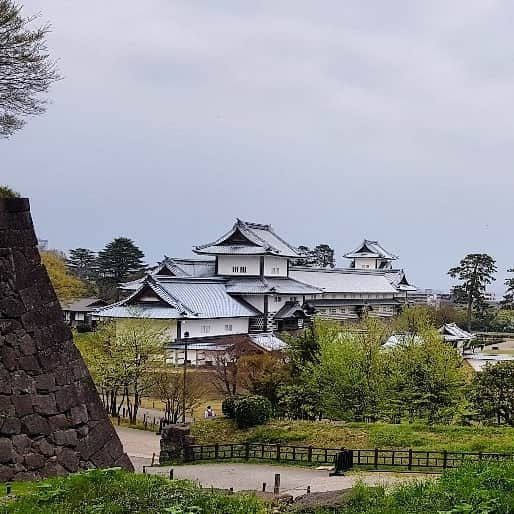 シャルレーヌ・ギニャールさんのインスタグラム写真 - (シャルレーヌ・ギニャールInstagram)「Kanazawa 🏯🌸 #japan #🇯🇵 #vacation #kanazawa #kenrokuengarden #kanazawacastle #sakura #holidays #beautiful #happy」5月17日 3時01分 - charleneguignard