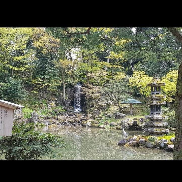 シャルレーヌ・ギニャールさんのインスタグラム写真 - (シャルレーヌ・ギニャールInstagram)「Kanazawa 🏯🌸 #japan #🇯🇵 #vacation #kanazawa #kenrokuengarden #kanazawacastle #sakura #holidays #beautiful #happy」5月17日 3時01分 - charleneguignard