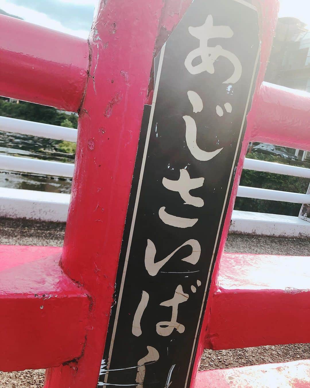 桜もこさんのインスタグラム写真 - (桜もこInstagram)「人力車💓  #箱根 #人力車 #20分 #旅行 #happy #景色 #happy #instagood #リフレッシュ」5月17日 3時06分 - mokochan319