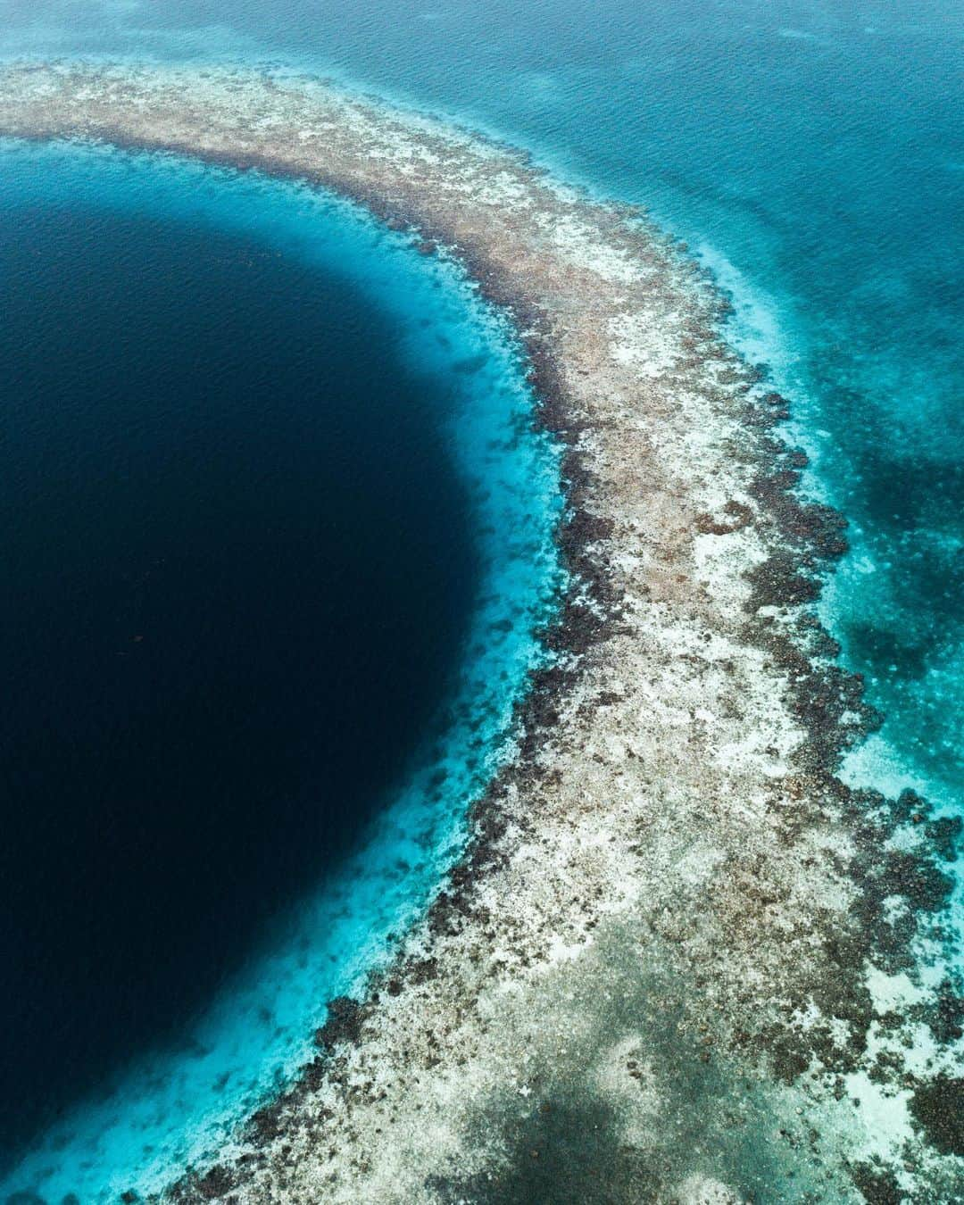 ティモシー・サイクスさんのインスタグラム写真 - (ティモシー・サイクスInstagram)「For the past few months I’ve been busy working on a new @karmagawa project called @savethereef in which our team visited and documented the coral reefs in 7 different countries because sadly roughly half of the world’s reefs have already died and the rest are expected to die by 2050 so we need to spread awareness about the urgent issue and share potential solutions to this problem before it’s too late. Most people don’t think coral reefs apply to them, but they’re wrong since reefs are crucial to the survival of marine life and it’s that marine life, not trees, that create the majority of the oxygen we breathe. So, if you like breathing and living you should care about coral reefs, go follow @savethereef and get excited for our upcoming documentary that’s premiering in mid-June! These photos by the great photographer @micahniinuma are from our Belize trip which consisted of @amirzakeri @justinkalaniburbage @lorenzo_underwater and myself staying st the fantastic @hamanasi_resort and exploring this magical place where the reefs are actually healthy due to the fact that Belize banned offshore oil drilling just over a year ago and the environment has benefitted greatly! Many people have told us to give up on the reefs and the environment and accept the world for what its become, but my mom always taught me the world is what we make of it…SO NO, WE WILL NOT GIVE UP and we will do EVERYTHING possible to get more people to realize how important this issue is as Belize is living proof that if we make even the slightest bit of changes, Mother Nature is resilient and it can regenerate so there is still hope…we just need to get our act together before it’s too damn late! #savethereef #karmagawa #jewblue #jewishaquaman」5月17日 3時32分 - timothysykes