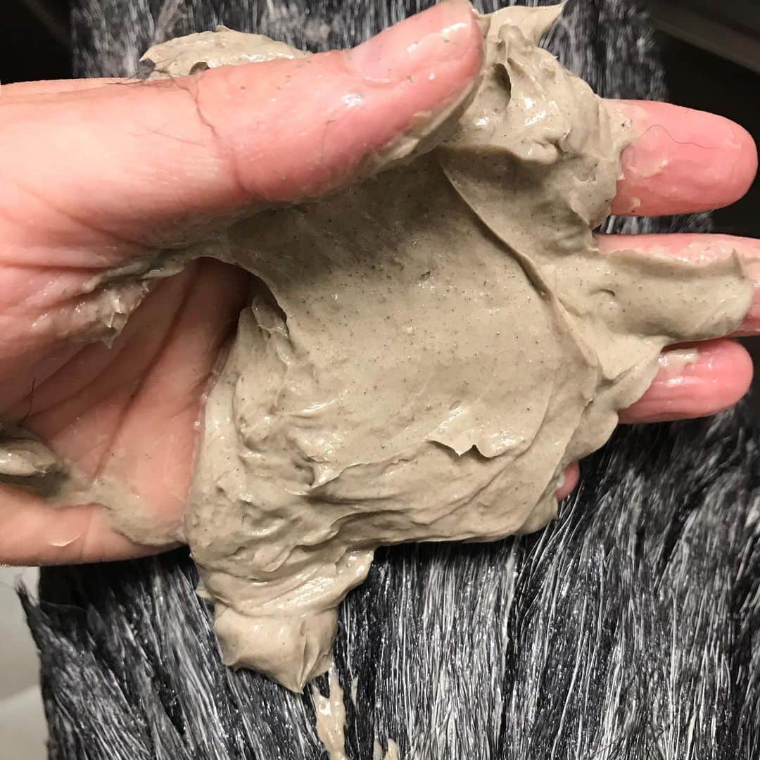 Dogs by Ginaのインスタグラム：「Watch today’s stories for my review of Oly’s mud bath! We used the de-shed treatment! All of these are now available as add ons to any bath service. 🐾」