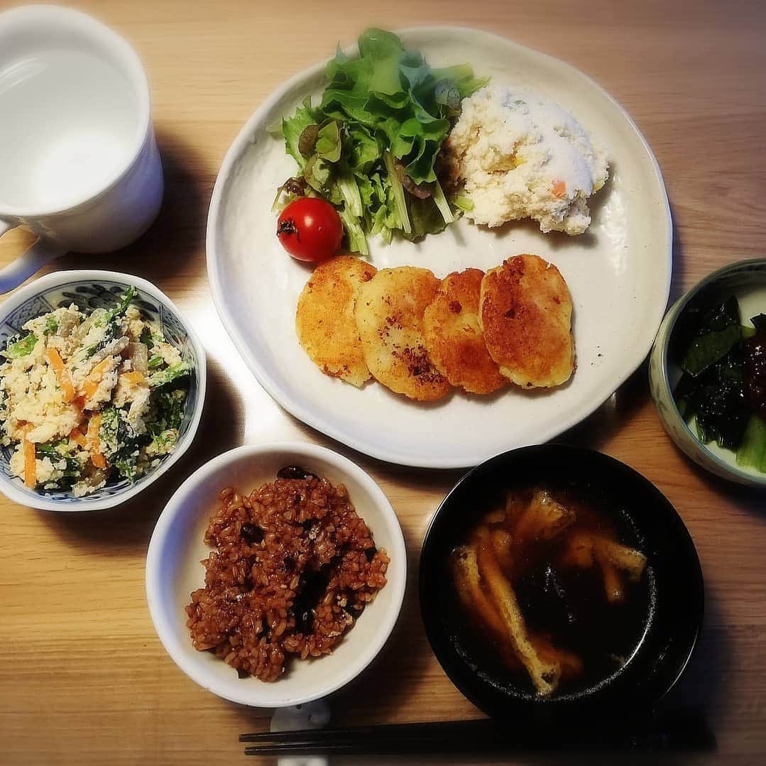なでしこ健康生活さんのインスタグラム写真 - (なでしこ健康生活Instagram)「Repost from @nekoobasan_maiko)  お庭で育てているサラダ菜がモリモリしてきたのでいただきました🤗 おいし〜✨✨✨ 塩とオイルでペロリ♥ サラダ菜の横は、おからサラダ😘 お豆腐で作ったマヨネーズで味付けしました♥ ポテトサラダだよね、、、😋 うちのマヨネーズはお豆腐、オイル、塩のみ！ 特別なものは使わないけど美味しいです🤩 ・ じゃがいもの小判焼は家族みんな大好きメニュー😁 ・ 小松菜炒めが大好きなんですが、お友達に冷凍して、解凍するとおひたしみたいになって生で食べられると聞いてから、生で食べています♥ 醤油麹をかけるだけ♥ 写真では見切れていますが😅 ・ 今年はお庭で、ナス、きゅうり、トマト、サラダ菜、おくら、パプリカを作っています。 苗は生活クラブと自然食品屋さんで購入していますが、安心な種から育ててみたいなぁ。 安心な種、、、、重い響きになってしまいましたね💦 #ヴィーガン#ヴィーガンごはん#ヴィーガン子育て#玄米菜食#酵素玄米#なでしこ健康生活#家庭菜園#おから#豆腐マヨネーズ#手作りマヨネーズ#ヴィーガンキッズ#自然派育児#自然栽培#無農薬#vegan#veganfood」5月17日 6時12分 - nadeshiko_healthy_life