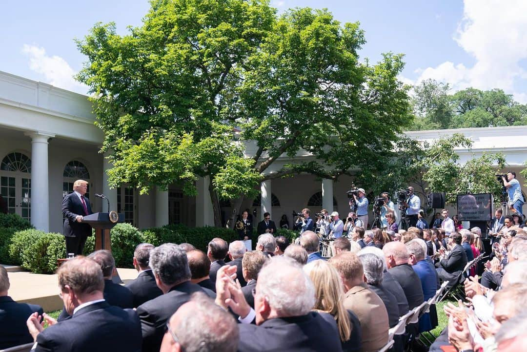 ドナルド・トランプさんのインスタグラム写真 - (ドナルド・トランプInstagram)「This afternoon in the Rose Garden, President Trump unveiled his plan to modernize the immigration system for a stronger America.」5月17日 6時06分 - realdonaldtrump