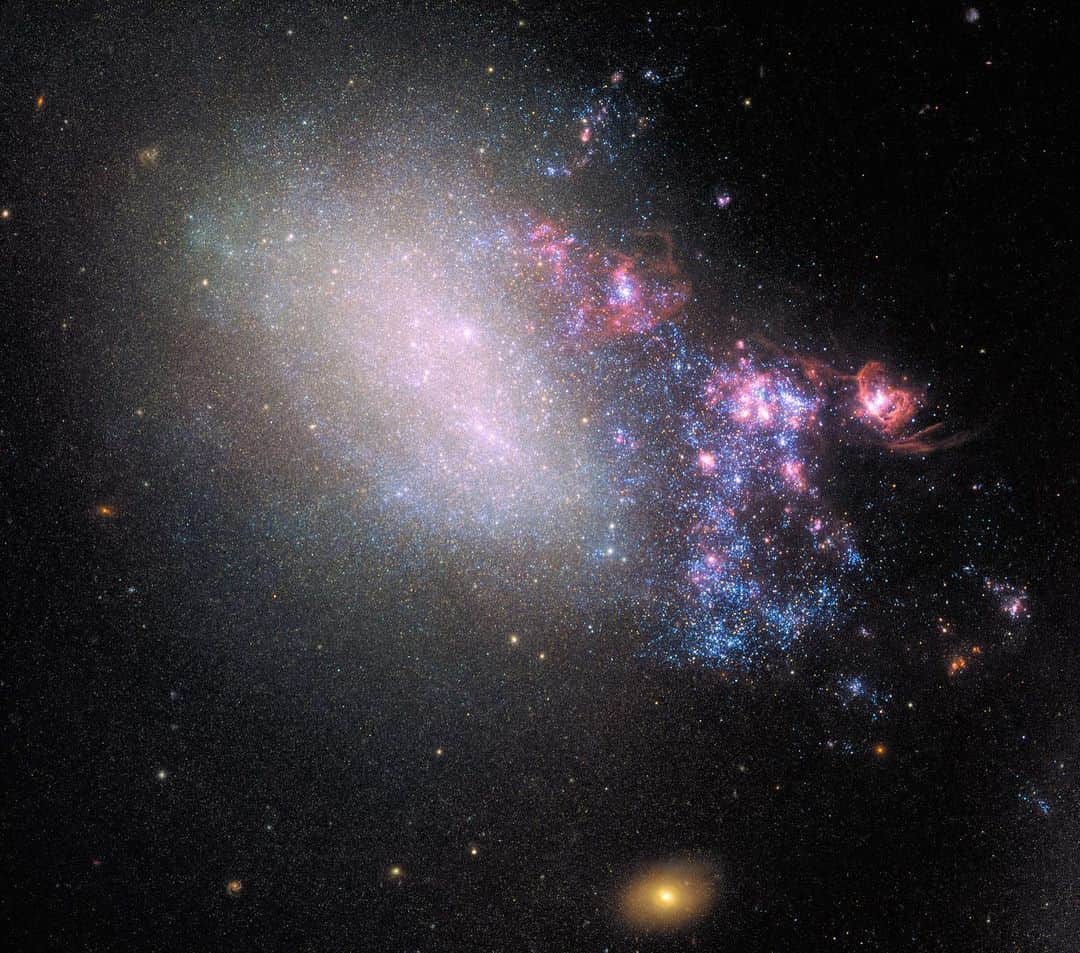 NASAさんのインスタグラム写真 - (NASAInstagram)「@NASAHubble spies with its little eye… an irregular galaxy when passing by! 🔎🌀⁣ ⁣ Earthlings, what you’re looking at is the evidence of two galaxies sideswiping each other millions of years ago, resulting in a galactic hit-and-run. 🚗💨 The gravitational tug-of-war between them created rippling patches of higher-density gas and dust within both galaxies. This activity triggered a flurry of star formation.⁣ ⁣ The right side of this galaxy is ablaze with star formation, shown in the plethora of young blue stars and star-incubating pinkish nebulas. 💗💙 This galaxy is a nearby example of the kind of cosmic bumper-car activity that was more common billions of years ago when the universe was smaller and galaxies were closer together. ⁣ ⁣ Image Credit: NASA⁣ ⁣ #NASA #Pastels #Galaxy #Stars #HubbleSpaceTelescope #Universe #Nursery」5月17日 6時38分 - nasa