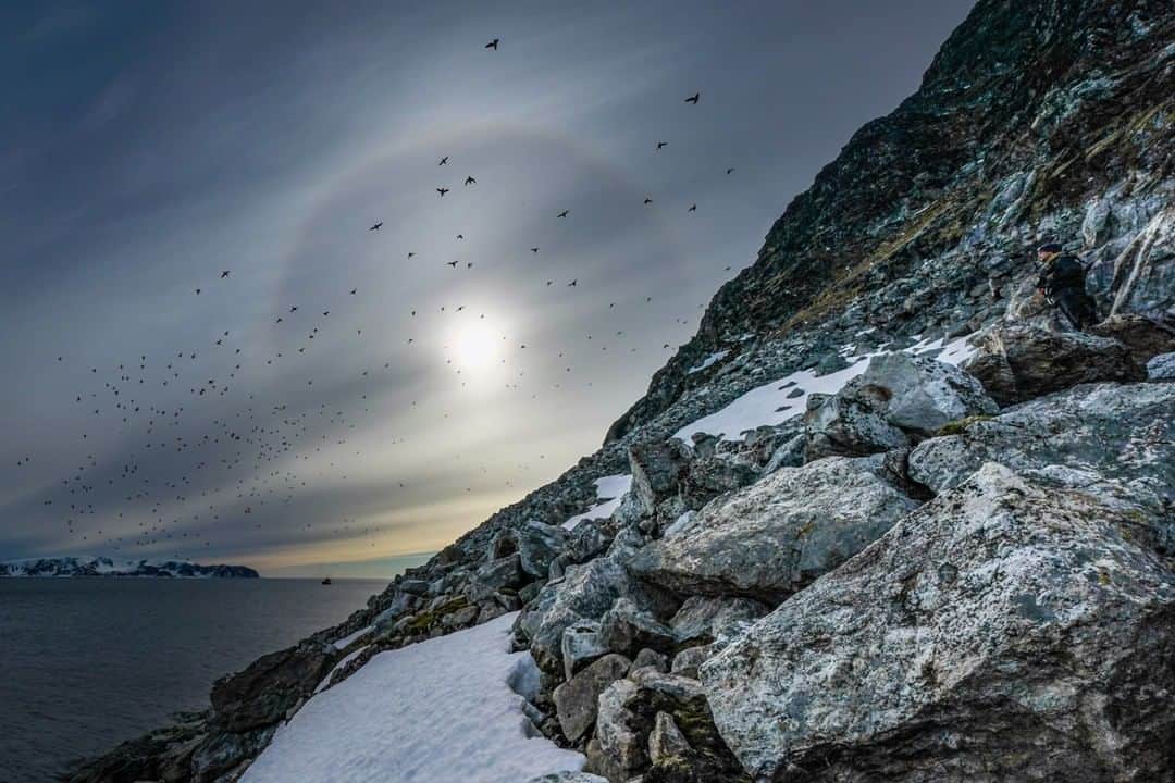 National Geographic Travelさんのインスタグラム写真 - (National Geographic TravelInstagram)「Photo by @andy_mann | A solar halo forms in the midnight sky in northern Svalbard as a flock of little auks return to their nesting grounds, hidden within the talus slopes above.  Svalbard is a Norwegian archipelago between mainland Norway and the North Pole and is one of the worlds northernmost inhabited areas. Known for it's rugged and remote landscape, Svalbard is an incredible adventure for travelers looking to explore the Arctic. | Follow me @andy_mann for a window into Arctic and Antarctic travel photography.」5月17日 6時58分 - natgeotravel