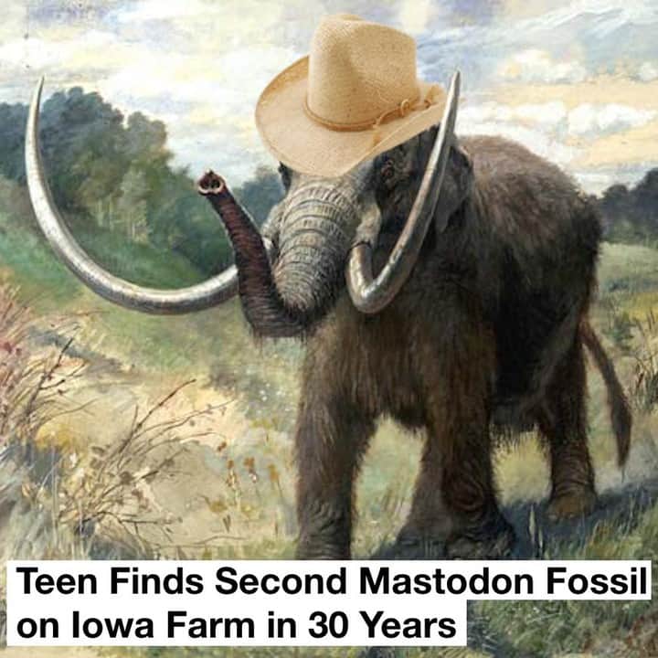 VICEさんのインスタグラム写真 - (VICEInstagram)「A teenager searching for arrowheads has found the fossil of an animal that went extinct roughly 10,000 years ago. Link in bio for more on this incredible discovery. 🎨: Wikimedia Commons (hat: KissCC0)」5月17日 7時00分 - vice