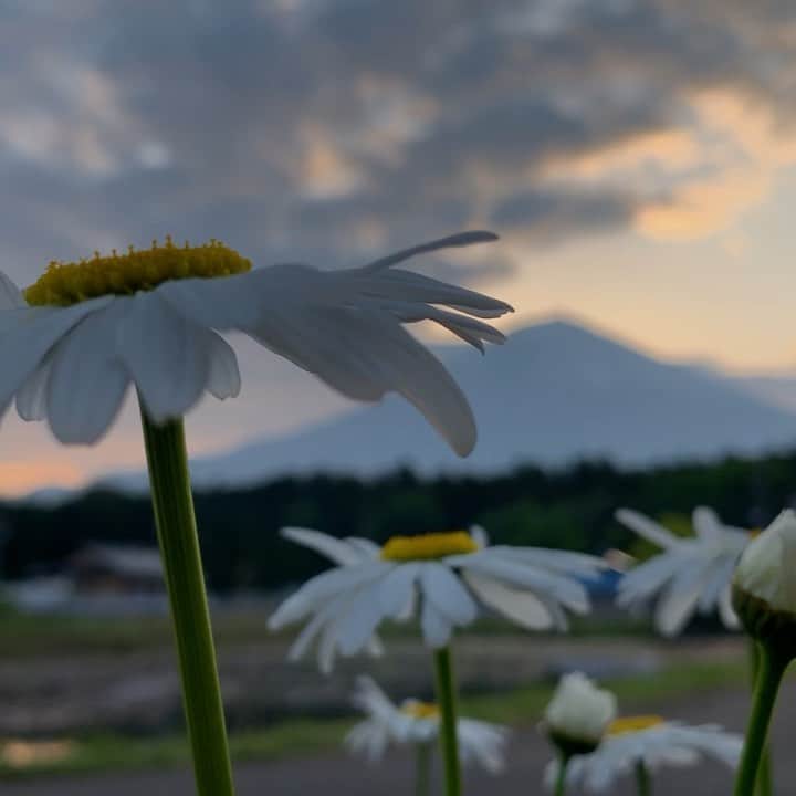 phantastic420のインスタグラム：「. 🤩🤩“Shizuoka” prefecture in Japan is a place where you can see the most “phantastic” Mt. Fuji🗻 in the world.🤩 #富士山 #mtfuji #japan #shizuoka #fujinomiya  #phantastic420photography #mostphantasticmtfuji #selamatpagi  #goodmorning  #おはようございます 😇😇😇😇😇😇😇🗻😇😇 気持ちの良い朝でした😍焼けてくれればもっと良かったのですが…🤣」