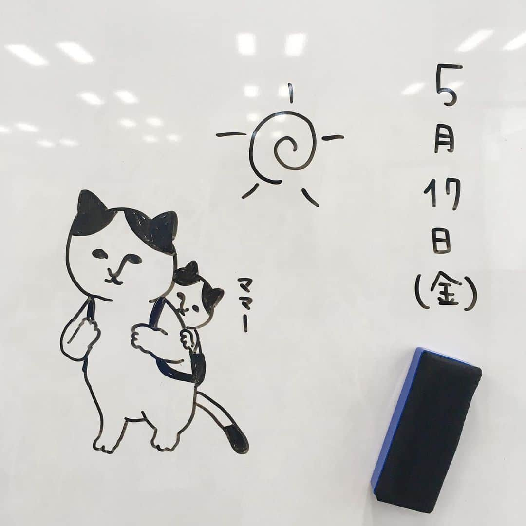 ねこさんのインスタグラム写真 - (ねこInstagram)「今日のねこ。おんぶねこ。 #neko_magazine #ねこ #猫 #ネコ #catstagram #cat #ねこマガジン #NEKONOBA」5月17日 7時54分 - neko_magazine