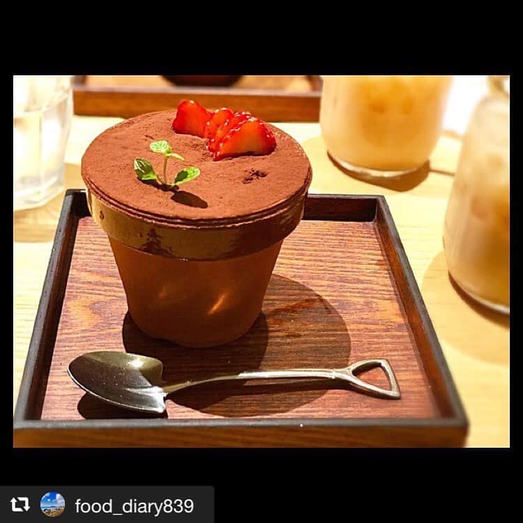 ハレノヒのインスタグラム：「#repost @food_diary839 via @PhotoAroundApp  フラワーポット  新宿にある見た目は植木鉢のような可愛いスイーツ！！全部で5種類あり、どれも見た目可愛らしく味も美味しいスイーツ🤤  #instafood #instacafe #グルメ#グルメ旅 #グルメ巡り #グルメ好きな人と繋がりたい #カフェ #カフェ巡り #新宿 #スイーツ #ハレノヒ #フラワーポット #f4f @food_diary839様 ご来店ありがとうございます😊お写真も嬉しいです♪ #ここでしか食べられない#ケーキ#ルミネエスト新宿#可愛い#スイーツ」