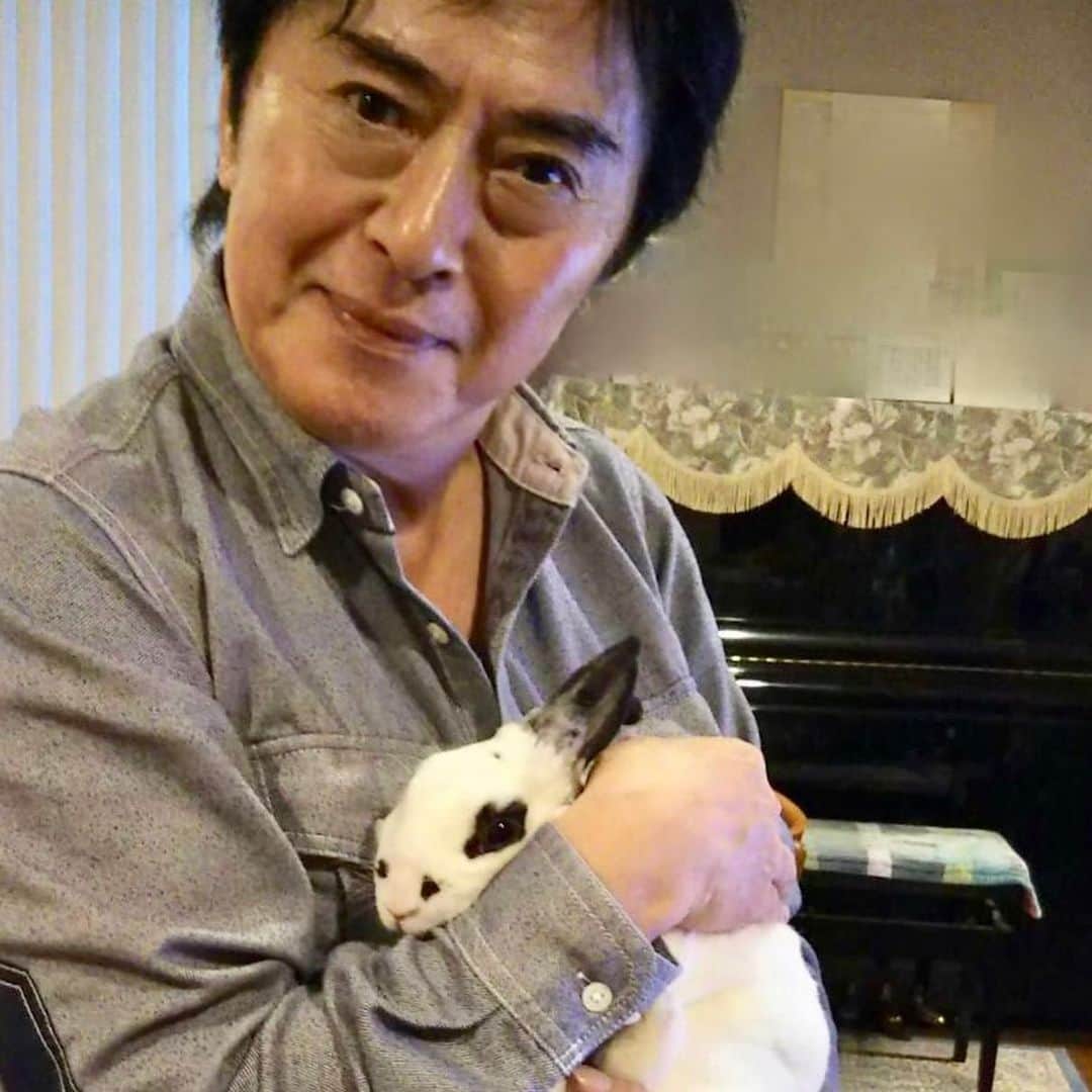 水木一郎さんのインスタグラム写真 - (水木一郎Instagram)「うさぎのハッピーちゃん。 マイペースでおてんばで甘えん坊さん。DNA的に抱っこ嫌いはうさぎの特徴。でも元気でいればそれで良し。 #うさぎ #rabbit  #ハッピー #happy #おてんば #tomboygirl #可愛い  #水木一郎  #ichiromizuki」5月17日 8時42分 - ichiromizuki