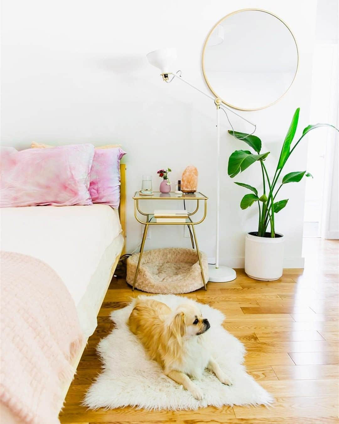 west elmさんのインスタグラム写真 - (west elmInstagram)「No question who rules the house... 😏💕 Thanks for sharing your space with our Terrace Nightstand @marie.reginato! Want to show off your style? Tag or mention us @westelm.  #mywestelm #dogsofwestelm #colorfulinteriors #bedroomgoals」5月17日 9時18分 - westelm