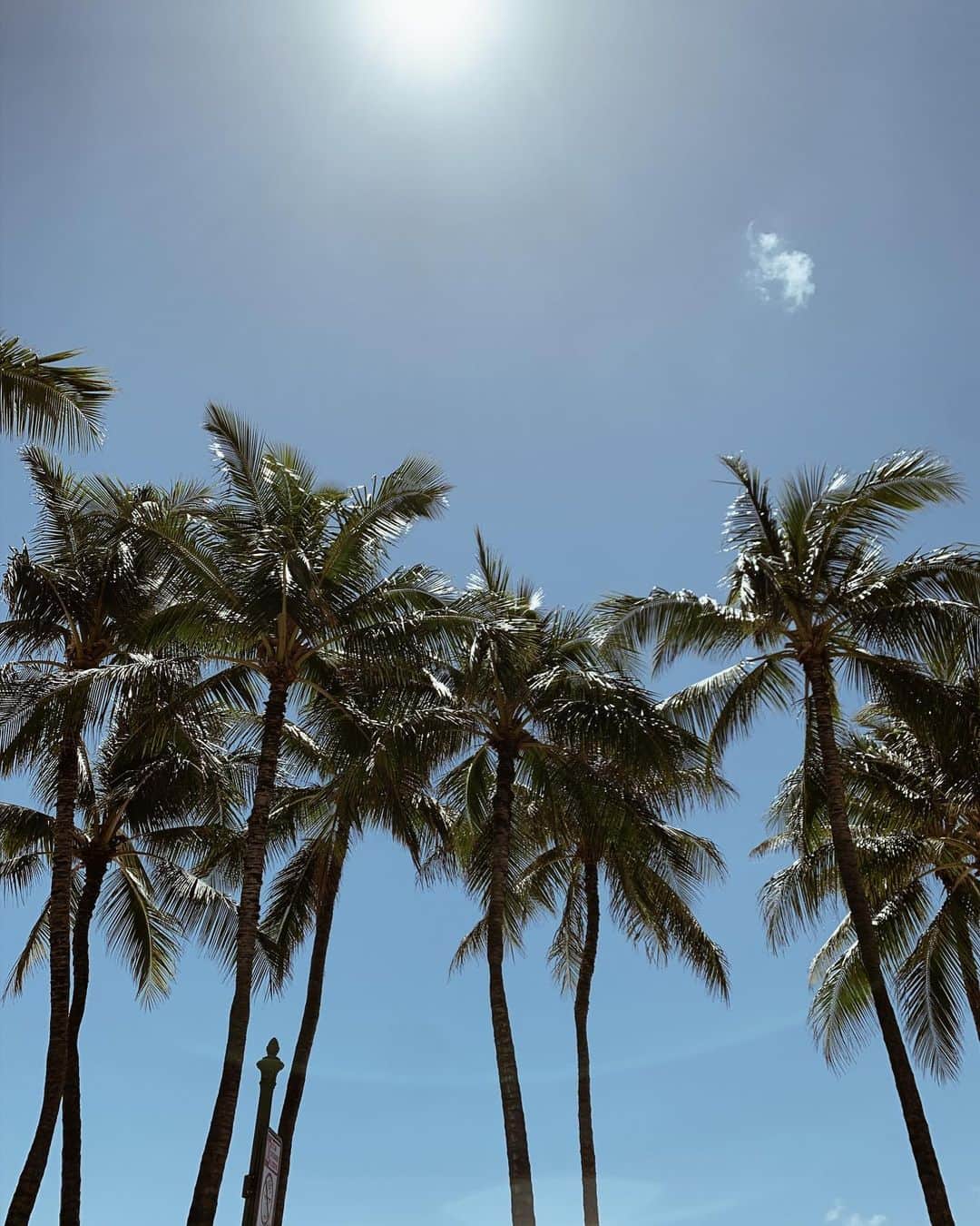 春名亜美さんのインスタグラム写真 - (春名亜美Instagram)「今日は最高のお天気☀️☀️☀️ ・ ・ ・ #hawaiilife #hawaii #ハワイ #ハワイ生活 #ハワイ暮らし #ハワイライフ」5月17日 9時27分 - amiharunaami