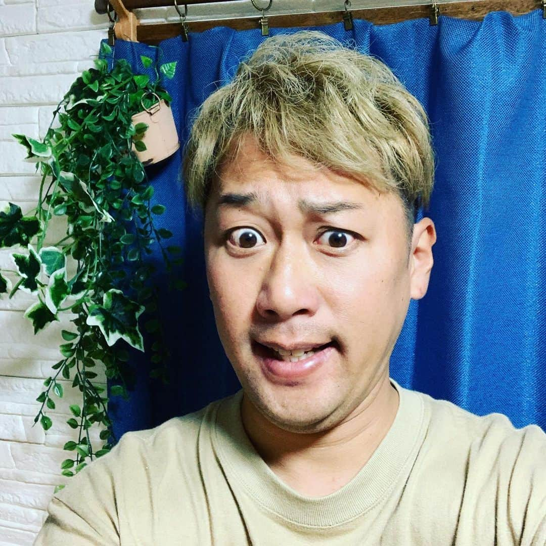 井本貴史さんのインスタグラム写真 - (井本貴史Instagram)「巨人師匠が番組の企画で金髪にされた。そんな巨人師匠に1ヶ月前にお会いした。巨人師匠に「君も金髪にせぇ」と言われた。ノリで「ハイ！」と答えた。知らない間に舞台で巨人師匠が俺が金髪にすると話していた。その日の帰りに「ホンマに僕も金髪した方がいいですか？」と確認したところ「好きにしたらええ」と言う事だったので黒髪のままにしていた。 1ヶ月後にまた巨人師匠にお会いした時に「あれ？まだ金髪してないんかいな？？」と言われたので「好きにせえとおっしゃってましたので黒です」と言うと「いや、アカンアカン！僕ね、雑誌でコラムの連載書いてるんやけどね、そこで井本が金髪するって書いたからね」と言われた。「マジですか？」「マジやがな！」と言う事がありまして、なのでこうなりました。 ・ #巨人師匠 #金髪 #1ヶ月 #知らない間にコラムに載る #もうやるしかない #もしやらなかったらパンパンされる #もし俺が弟子やったらパンパンされる #多分、力は無茶苦茶強い #多分、成人したゴリラぐらいの腕力はあると思う #パンパンされたら首もげる #やるしかない #やった #約20年ぶりぐらいの金髪 #なんか俺 #日本人離れした #なんか俺 #東南アジア感すごいでた #巨人師匠やりました ！ #勉強させて頂きます ！！！」5月17日 9時41分 - inomototakafumi