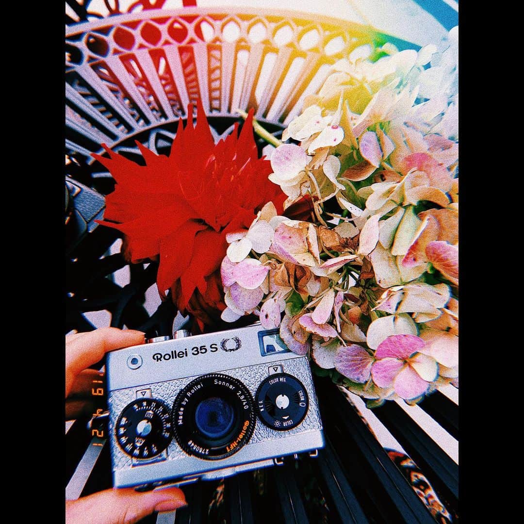 平祐奈さんのインスタグラム写真 - (平祐奈Instagram)「🎞 私が使っているフィルムカメラはこちら。 井上春夫監督に頂いたRollei35📸 愛用させていただいて5年になります。 明日の朝はにじいろジーン生放送にお邪魔します🌈 それからGirlsAward✨楽しみ☺︎ #祐奈のフィルム日記」5月17日 20時37分 - yunataira_official