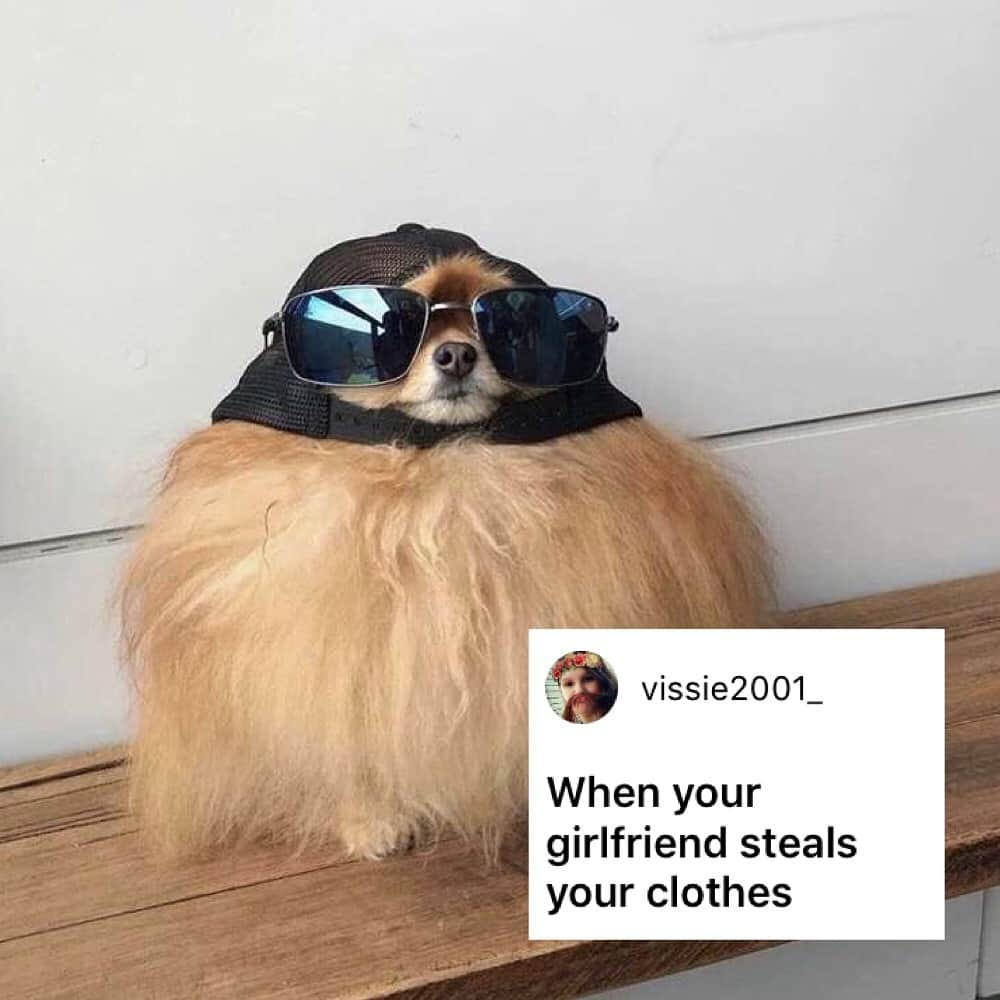 9GAGさんのインスタグラム写真 - (9GAGInstagram)「Cool boi in da house. - How would you meme this? Leave a comment below. Stay tuned to our IG story so you won’t miss the next “Meme This”! - 📷 @cece.pomeranian - #memethis #dog #9gag」5月17日 19時04分 - 9gag