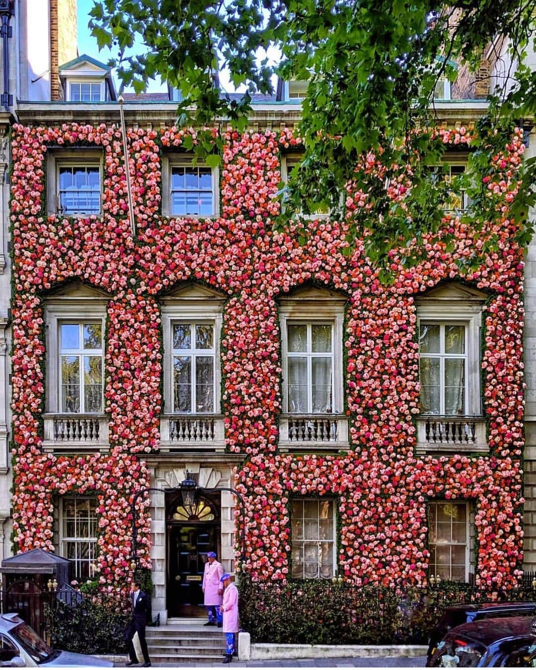 @LONDON | TAG #THISISLONDONさんのインスタグラム写真 - (@LONDON | TAG #THISISLONDONInstagram)「@clerkenwellboyec1 says... #LONDON in full bloom! 🌱🌸✨ Check out *THIS* EPIC transformation of @AnnabelsMayfair ✖ #ChelseaFlowerShow by @theflowerbx || TAG a friend who'd like to live here... 🌞🏰🌱🌹🍾🥂💕 . . . . . BTW ~ If you're a member (or know one) get yourself booked into their botanical inspired events over the coming week including cocktail masterclasses and a very special Chelsea Flower Show afternoon tea ||#AnnabelsMayfair @the_rhs #Spring #Doortrait #VisitLondon #AccidentallyWesAnderson #ThisIsLondon  #🌸#🌹」5月17日 19時08分 - london