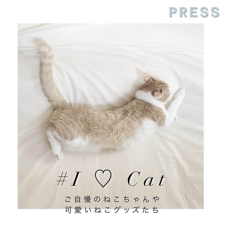 PRESSのインスタグラム