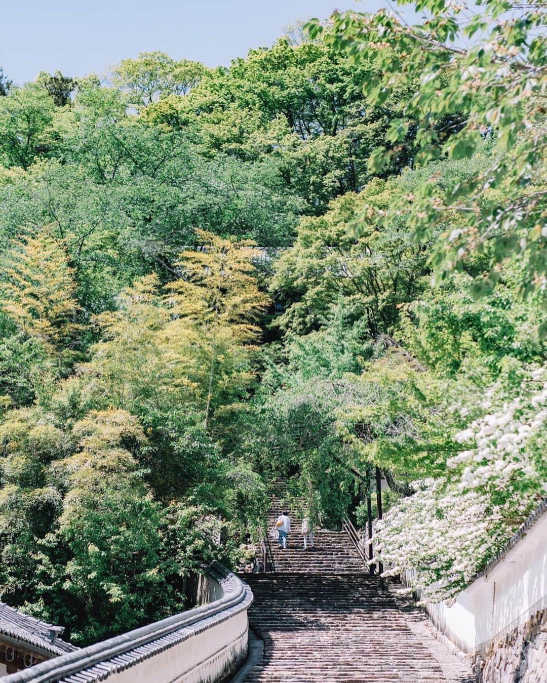 fuka_09さんのインスタグラム写真 - (fuka_09Instagram)「﻿ #奈良 #長谷寺﻿ ﻿ 新緑に包まれる長谷寺は﻿ 深く深く呼吸したくなる場所﻿ ﻿ ﻿ #わたしは奈良派﻿ ﻿」5月17日 19時20分 - fuka_09