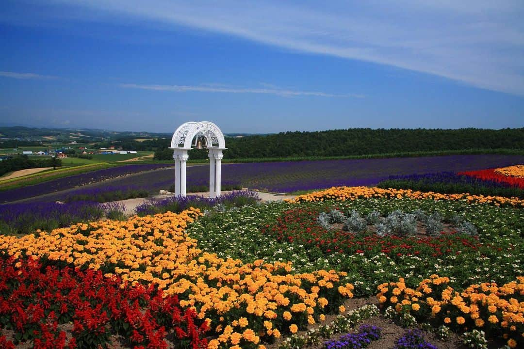 THE GATEさんのインスタグラム写真 - (THE GATEInstagram)「【Follow us! @thegate_japan】 THE GATE is a website for all journeys in Japan. Follow @thegate_japan for japan travel inspiration! . Hinode Lavender Garden(#日の出公園ラベンダー園) locates in the town of Kami-furano(#上富良野) in central #Hokkaido(#北海道)💜💙💜✨ . Between late June and early October, the fields are covered in beautiful lavender flowers. . In early July, the earliest flowers blossom. Around mid-July, the light purple lavender flowers bloom, and the entire area is perfumed with its lovely sscent. . From the observation deck on the premise, you can see the lavender fields and Mount Tokachidake. . Every July, the Lavender Festival is held at Hinode Park and the Hinode Lavender garden. Celebrities hold performances on the stage near the lavender fields. At night, a fireworks display is held too. . Check more information about Japan. →@thegate_japan . #Japan #thegate_japan #travel #exploring #thegate #thegate_spring #visitjapan #sightseeing #ilovejapan #triptojapan #beautifulflowers #flowers #gardens #nature #beautifulnature #spring  #flowerpark #lavenders #lavenderfields」5月17日 19時35分 - thegate_travel