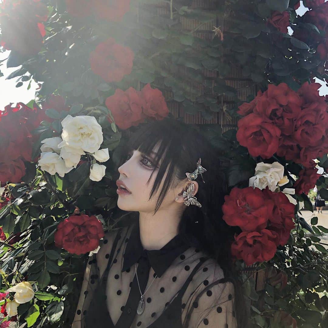 chiiiiiのインスタグラム：「🥀🦋))」