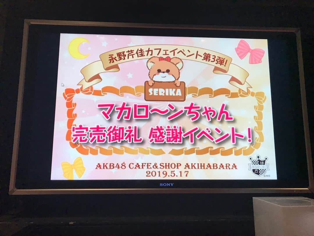 永野芹佳さんのインスタグラム写真 - (永野芹佳Instagram)「カフェイベント終わりました☺️💕 来てくださった皆さん、 SHOWROOM配信を見てくださった 皆さん本当にありがとうございます✨ マカロ〜ンちゃん🧸💕 グッズ第4弾お楽しみに(^ ^)」5月17日 19時59分 - iroziro_serika