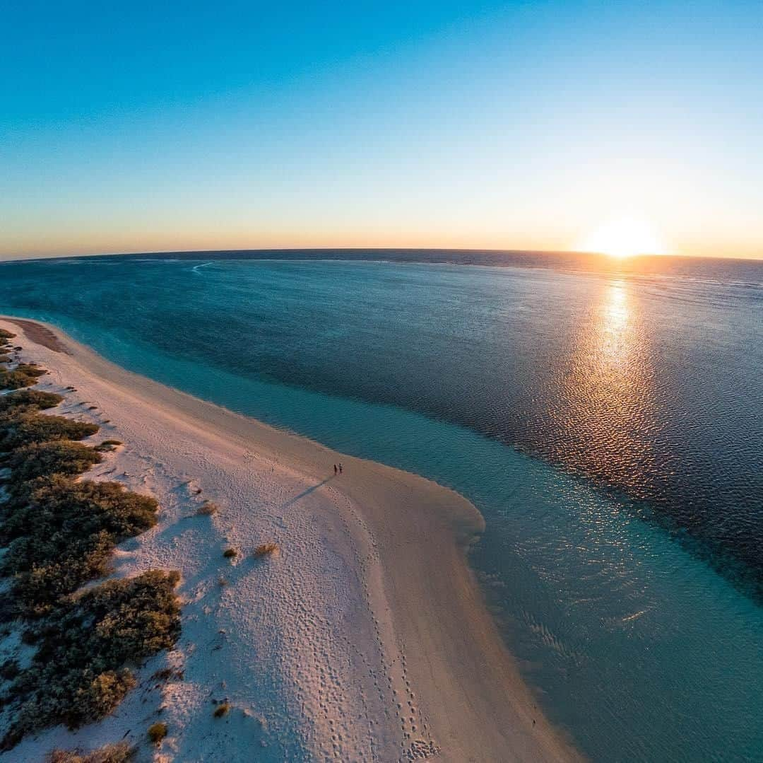 Australiaさんのインスタグラム写真 - (AustraliaInstagram)「It’s pretty hard to beat a #sunset in @westernaustralia, where the sun seemingly sinks right into the ocean. 🧡 @barekiwi was on a “dream trip” at #NingalooReef when he snapped this beautiful shot, a World Heritage-listed site found half way up the #WestAustralian coastline in @australiascoralcoast. If you’re planning a visit here before July, you could have the unforgettable experience of swimming with #whalesharks. While you’re at it you may as well go all out and book a couple of nights at @luxurylodgesofaustralia’s @salsalisningaloo, for the ultimate eco-luxe getaway. 😎  #seeaustralia #justanotherdayinwa #coralcoast #nature #beach」5月17日 20時00分 - australia