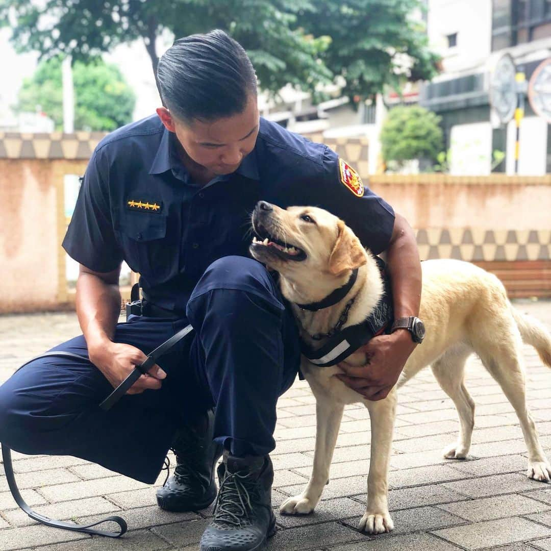 陳建州さんのインスタグラム写真 - (陳建州Instagram)「再次到台中出反毒任務⋯  今天我的夥伴們是一群專業的緝毒犬！  謝謝他們在第一線辛苦的付出⋯  其中JJ 這隻緝毒犬，根本就像是貴婦的狗嘛⋯ 但他的任務是所有大型犬辦不到的！因為毒販每次藏毒在最隱密又狹小的空間時 @tcpbk9.jj  就會出動⋯ 他常常在最險惡的環境下破案連連，警犬隊通常是幕後英雄，他們真的很辛苦！  希望大家一起幫台中市警犬隊掌聲加尖叫吧！  PS:我應該去考警校的！ 每次穿上制服都感覺很榮耀⋯😂😂😂 謝謝 #山雞部 力挺台中警察弟兄！ 帶來100份肉蛋吐司和紅茶慰勞弟兄們！」5月17日 20時01分 - blackielovelife